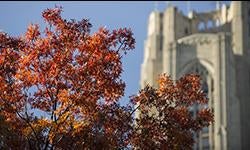 fall leaves in front of Cathedral of Learning